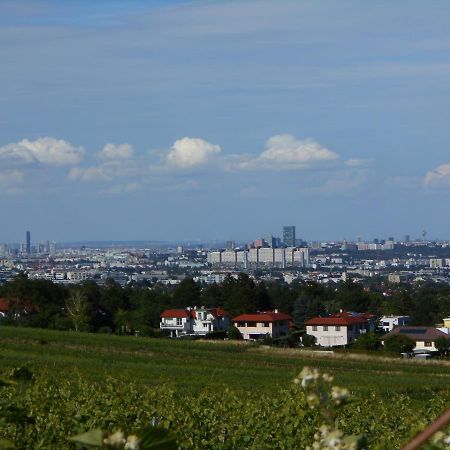 Appartement Top Over Vienna, Perchtoldsdorf Weinberge Ideal With Car Extérieur photo